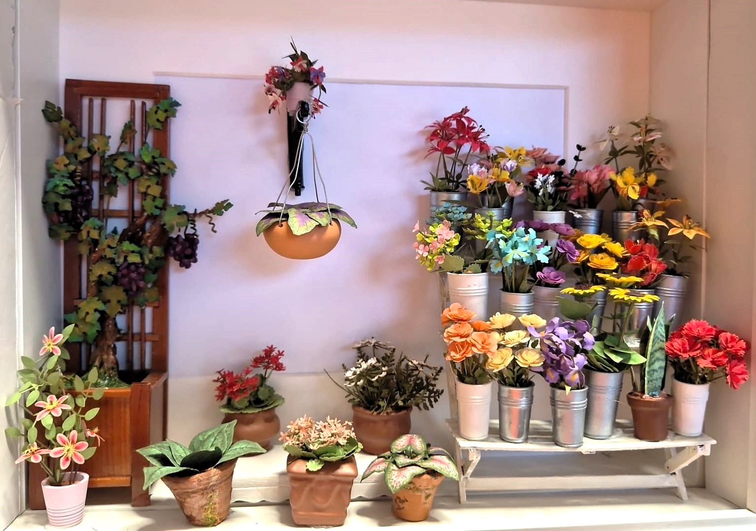 Plantas y flores en miniatura